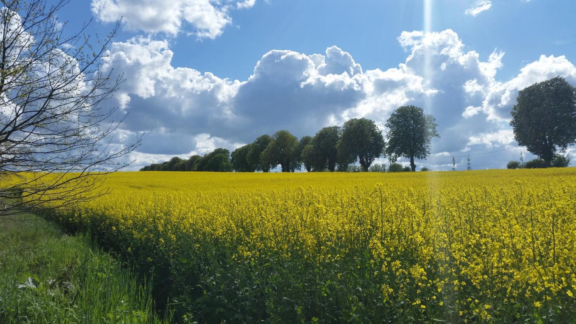 Luett Verbliev Malchow (Mecklenburg-Vorpommern) Exterior foto