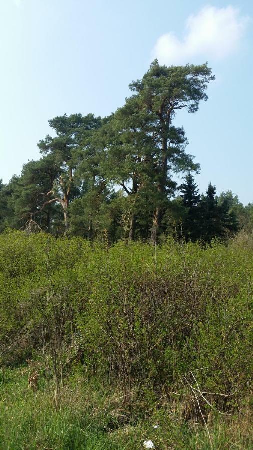 Luett Verbliev Malchow (Mecklenburg-Vorpommern) Exterior foto