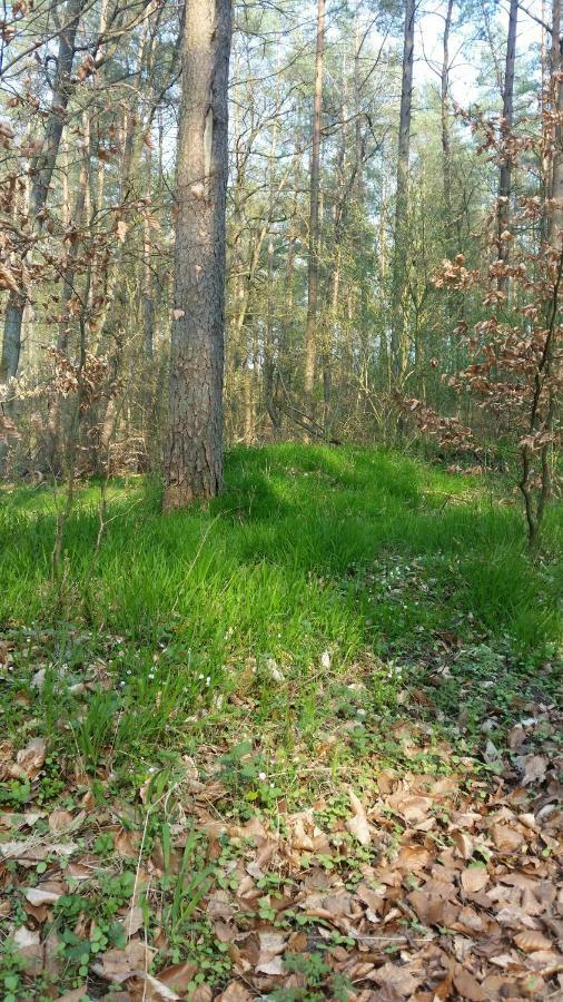 Luett Verbliev Malchow (Mecklenburg-Vorpommern) Exterior foto